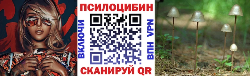 где купить наркотик  Кулебаки  гидра ССЫЛКА  Псилоцибиновые грибы ЛСД 